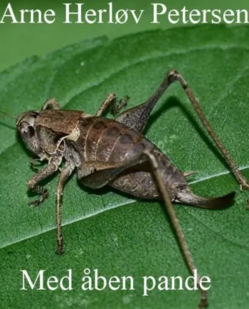 Dystopisk Roman: Med Åben Pande - En Skræmmende Fortælling