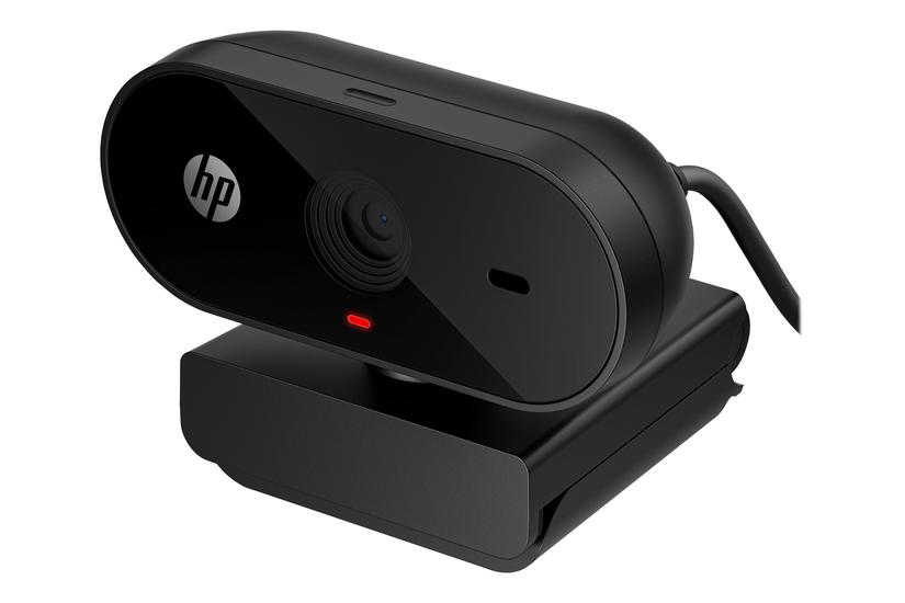 325 Webcam Pande Farve 1920 1080 Audio Usb - Hewlett-packard Kitchenplus - 196188941461